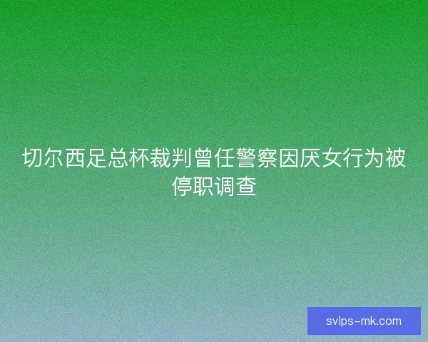 切尔西足总杯裁判曾任警察因厌女行为被停职调查